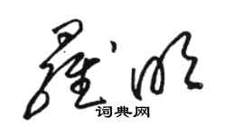 駱恆光羅明草書個性簽名怎么寫