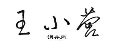 駱恆光王小營草書個性簽名怎么寫