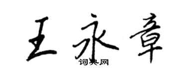 王正良王永章行書個性簽名怎么寫