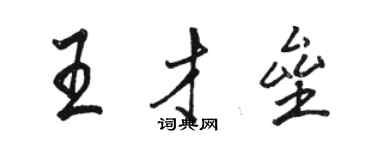 駱恆光王才壘行書個性簽名怎么寫