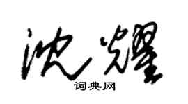 朱錫榮沈耀草書個性簽名怎么寫