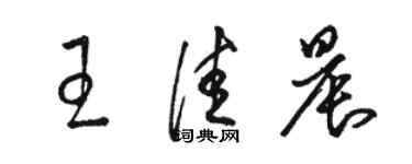 駱恆光王佳晨草書個性簽名怎么寫