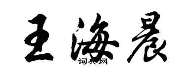 胡問遂王海晨行書個性簽名怎么寫