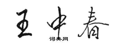 駱恆光王中春行書個性簽名怎么寫