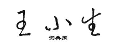 駱恆光王小生草書個性簽名怎么寫