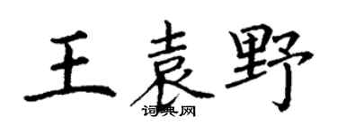 丁謙王袁野楷書個性簽名怎么寫