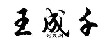 胡問遂王成千行書個性簽名怎么寫