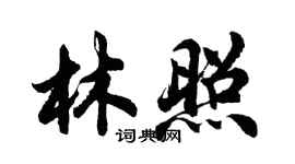 胡問遂林照行書個性簽名怎么寫