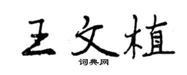 曾慶福王文植行書個性簽名怎么寫