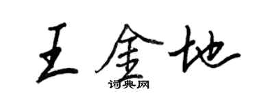 王正良王金地行書個性簽名怎么寫
