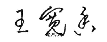 駱恆光王寬香草書個性簽名怎么寫