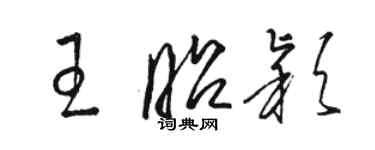 駱恆光王昭穎草書個性簽名怎么寫