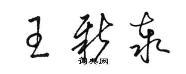 駱恆光王新泰草書個性簽名怎么寫