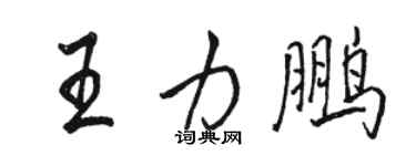 駱恆光王力鵬行書個性簽名怎么寫