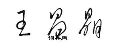 駱恆光王昌晶草書個性簽名怎么寫