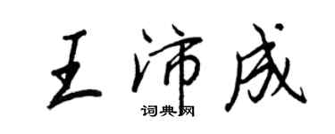 王正良王沛成行書個性簽名怎么寫