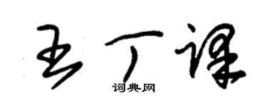 朱錫榮王丁譯草書個性簽名怎么寫