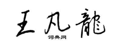 王正良王凡龍行書個性簽名怎么寫