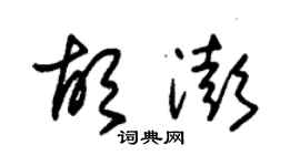 朱錫榮胡澎草書個性簽名怎么寫