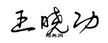 曾慶福王曉功草書個性簽名怎么寫