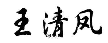 胡問遂王清鳳行書個性簽名怎么寫
