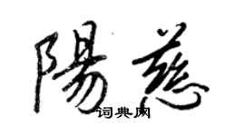 王正良陽慈行書個性簽名怎么寫