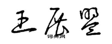 曾慶福王展盟草書個性簽名怎么寫