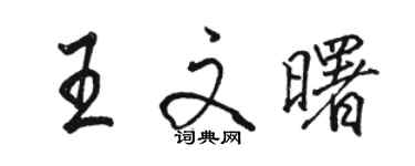 駱恆光王文曙行書個性簽名怎么寫