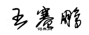 朱錫榮王賽鵬草書個性簽名怎么寫