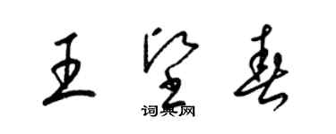 梁錦英王堅春草書個性簽名怎么寫