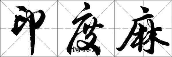 胡問遂印度麻行書怎么寫