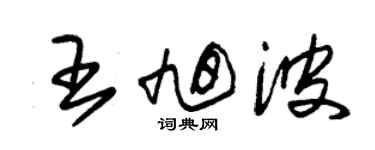 朱錫榮王旭波草書個性簽名怎么寫