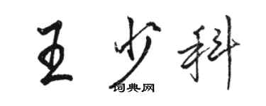 駱恆光王少科行書個性簽名怎么寫