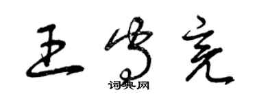 曾慶福王守亮草書個性簽名怎么寫