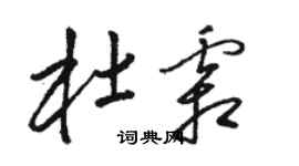 駱恆光杜霜草書個性簽名怎么寫