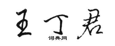 駱恆光王丁君行書個性簽名怎么寫