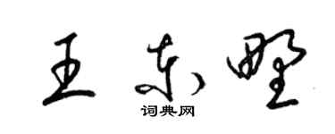 梁錦英王東野草書個性簽名怎么寫