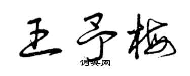 曾慶福王予梅草書個性簽名怎么寫