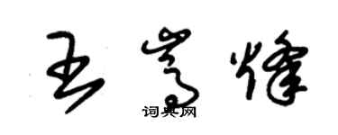 朱錫榮王嵩烽草書個性簽名怎么寫