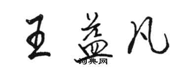 駱恆光王益凡行書個性簽名怎么寫