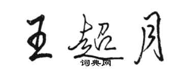 駱恆光王超月行書個性簽名怎么寫