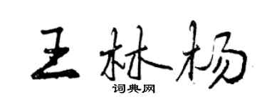 曾慶福王林楊行書個性簽名怎么寫