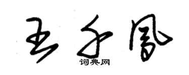朱錫榮王千鳳草書個性簽名怎么寫