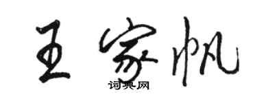 駱恆光王家帆行書個性簽名怎么寫