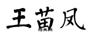 翁闓運王苗鳳楷書個性簽名怎么寫