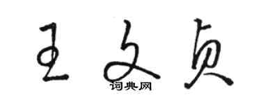 駱恆光王文貞草書個性簽名怎么寫