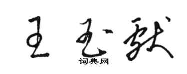 駱恆光王玉獻草書個性簽名怎么寫