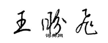 梁錦英王盼飛草書個性簽名怎么寫