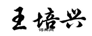 胡問遂王培興行書個性簽名怎么寫