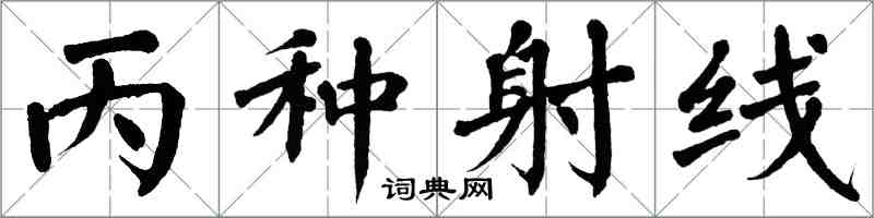 翁闓運丙種射線楷書怎么寫